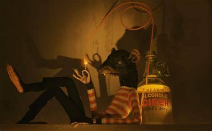 Did Mr. Fox give rat cider?