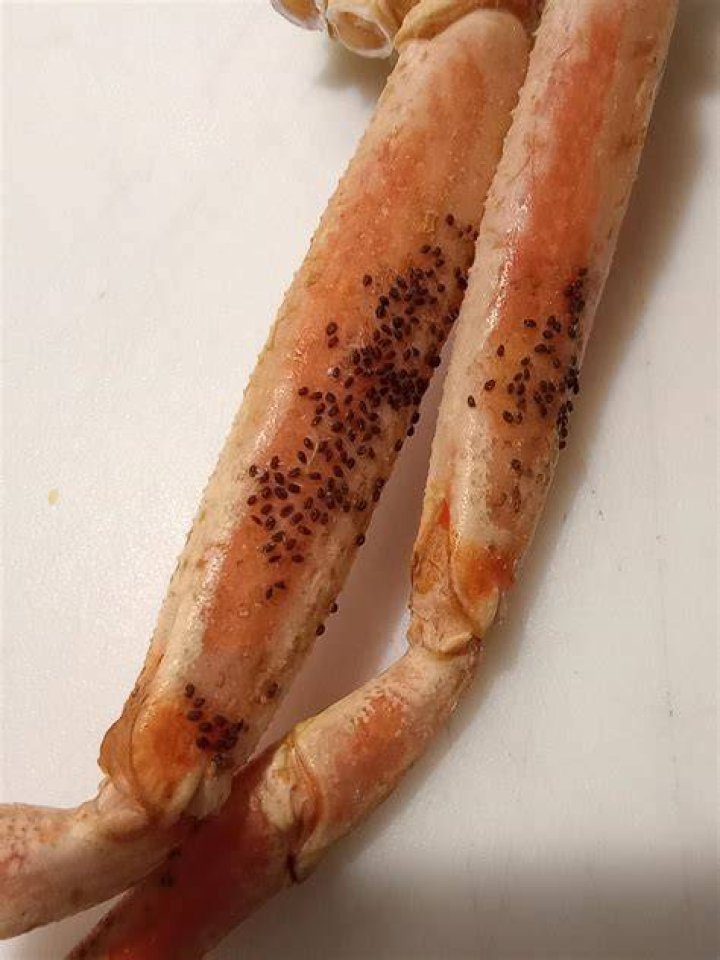Do crab legs have parasites?
