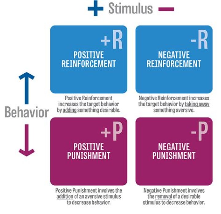 Does positive reinforcement work better than punishment?