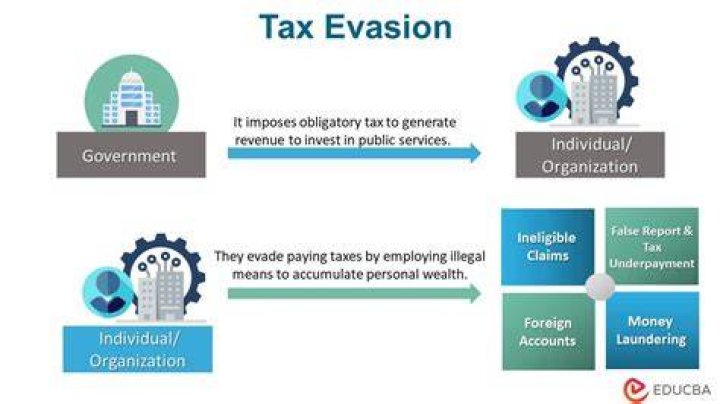 How is tax evasion caught?