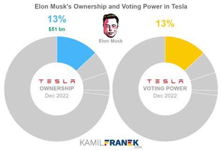 How much does Elon Musk owns Tesla?