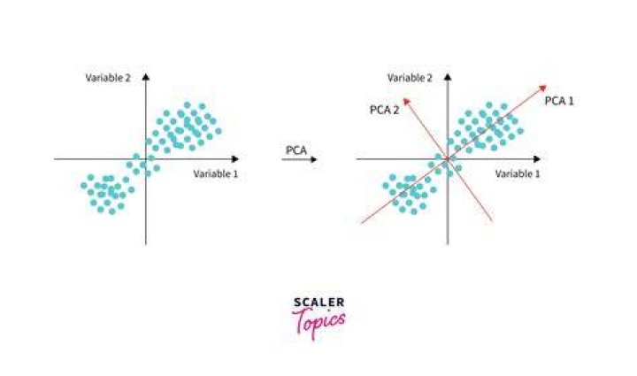 Is it necessary to scale data before PCA?