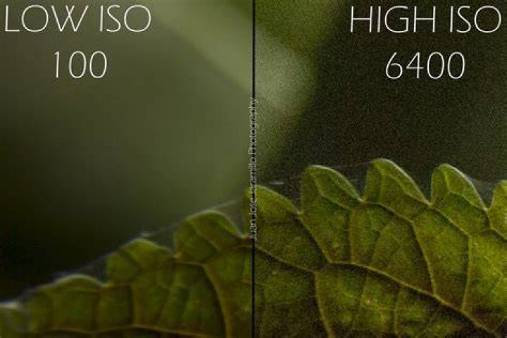 Is lower ISO always better?