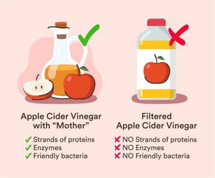 What does apple cider vinegar do for guts?