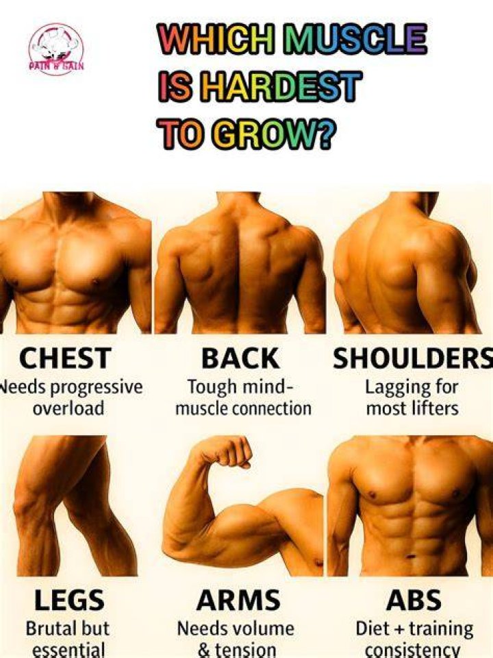 What muscle is hardest to grow?