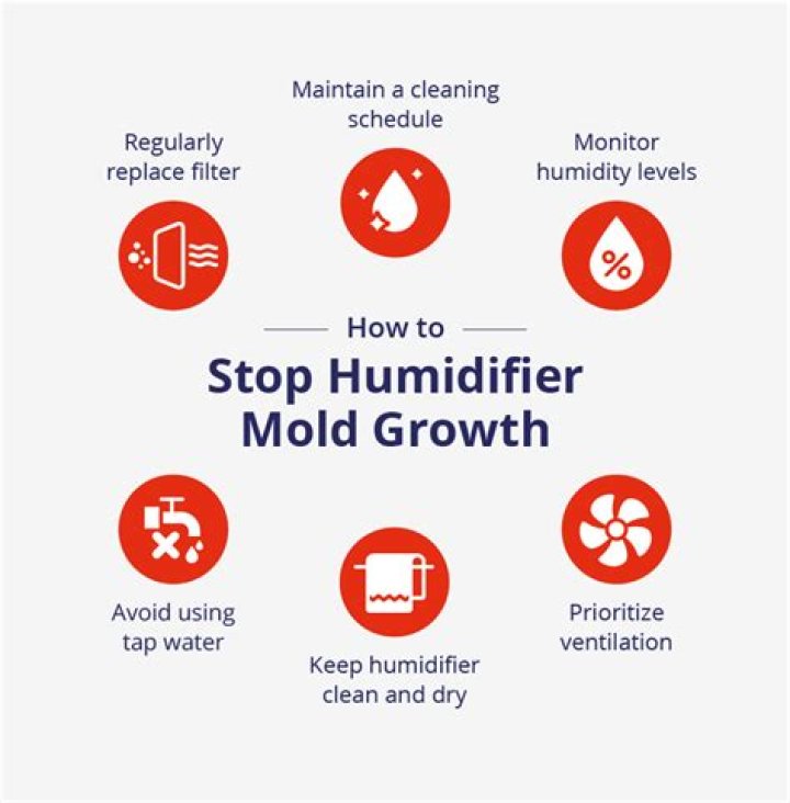 Will using a humidifier cause mold?